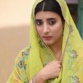 Urwa-Hocane-Dramas
