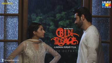bin-roye-8