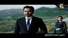 bin-roye-11